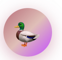 杀组1